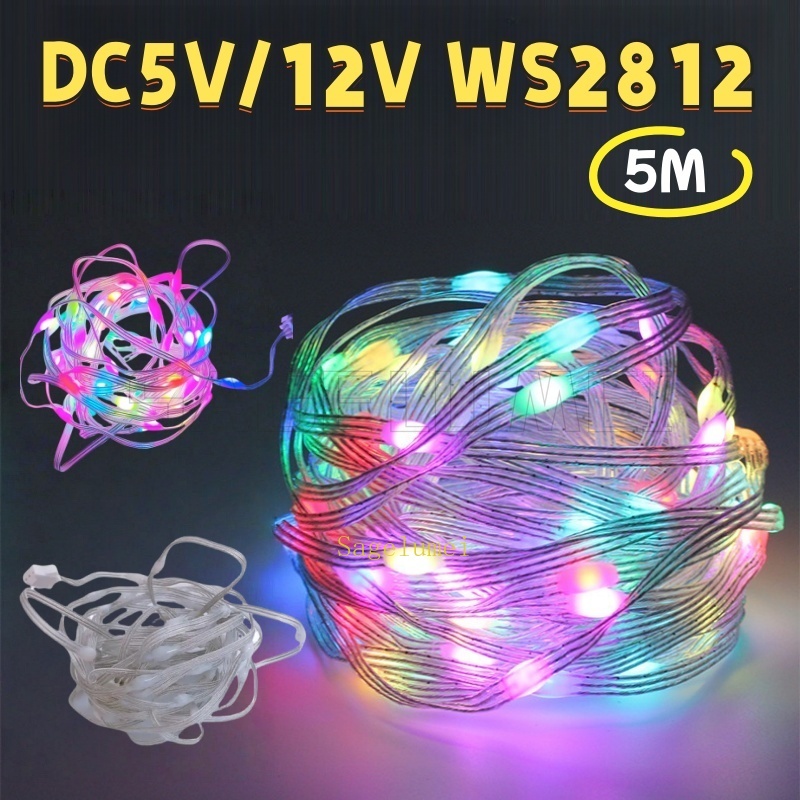 Decor Lighting Address - DC5V/12V WS2812 LED String Licht RGB