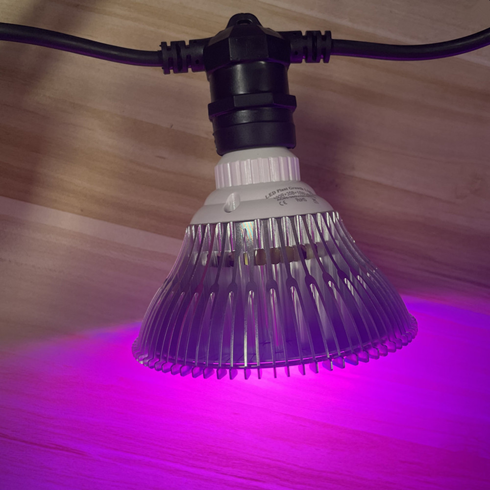 10 m langes LED-Kabel, wasserd – Lighting Decoration Ideas Bewertung und Preis
