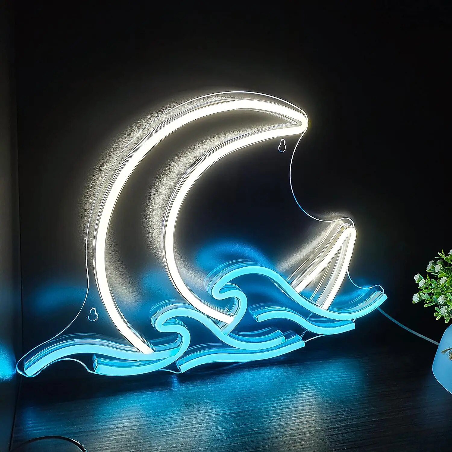 Neonschild Mond über Meer Neon – Neon Sign Custom Led Bewertung und Preis
